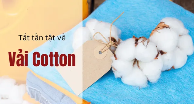 Sản phẩm tat tan tat ve vai cotton_15aa2907527c4730b65af4a8117a4cd9 — Công Ty TNHH Đầu Tư Sản Xuất Dịch Vụ Việt Phát — MST 0316228836
