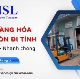 Sản phẩm gui hang hoa sai gon di cac tinh newstar 1 9682 — Công Ty TNHH Vận Chuyển Newstar — MST 0316242132