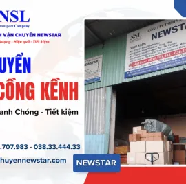 Sản phẩm van chuyen hang cong kenh 1 7130 — Công Ty TNHH Vận Chuyển Newstar — MST 0316242132