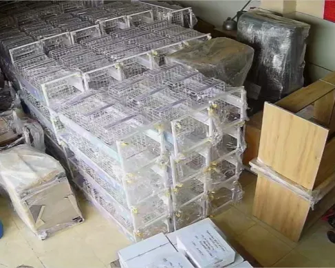 Sản phẩm 101 6517 — Công Ty TNHH Vận Chuyển Newstar — MST 0316242132