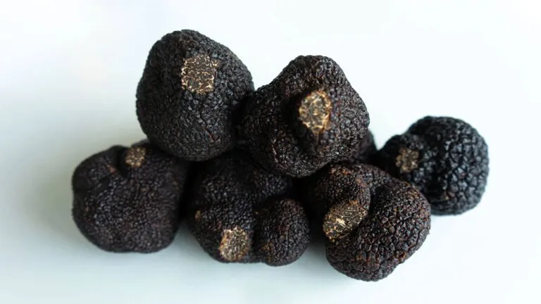 Sản phẩm nam truffle 768x432 — Công Ty TNHH Hoàng Linh Sài Gòn — MST 0316246962
