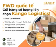 Sản phẩm FWD quoc te Gui hang so luong lon chon Kango Logistics 197x165 — Công Ty TNHH Giao Nhận Vận Chuyển Kango — MST 0316253423