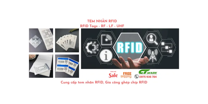 Sản phẩm Special 10 min — Công Ty TNHH CTMARK — MST 0316261625