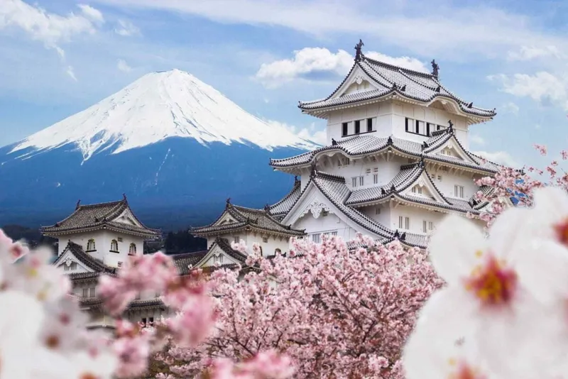 Sản phẩm Osaka Castle_Japan 1 1199x800 — Công Ty Cổ Phần Du Lịch Vtourist — MST 0316266616
