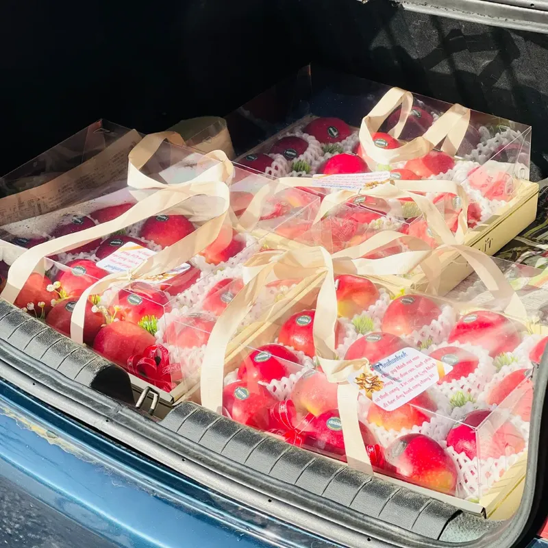 Sản phẩm 1 — Giỏ Hoa Quả Citi Fruit - Công Ty TNHH Đầu Tư Quốc Tế Citi Fruit — MST 0316276036