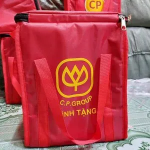 Sản phẩm TÚI GIỮ NHIỆT CP MẶT SAU 300x300 — Công Ty TNHH Sản Xuất Thương Mại Balo Túi Xách Thiên Phú — MST 0316286933