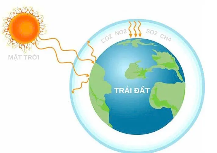 Sản phẩm view image — Công Ty TNHH Dịch Vụ Thương Mại B.B.T — MST 0316318744