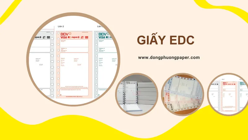 Sản phẩm 5 — Giấy In Nhiệt Đông Phương - Công Ty TNHH Sản Xuất Xuất Nhập Khẩu Đông Phương — MST 0316330558