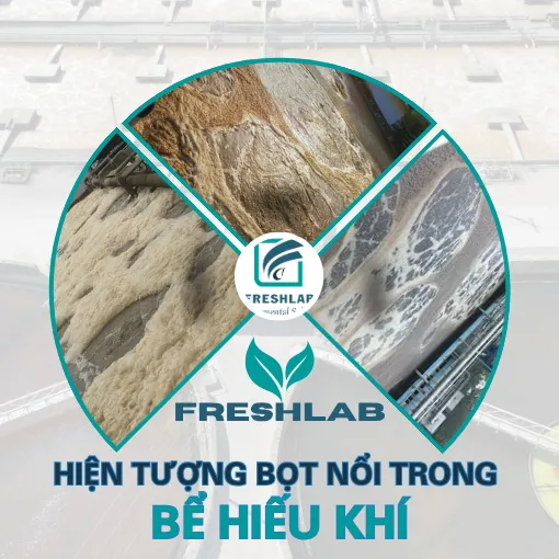 Sản phẩm TANG HIEU SUAT XU LY CUA BUN VI SINH 3 — Công Ty TNHH Thương Mại Kỹ Thuật Freshlab — MST 0316347960