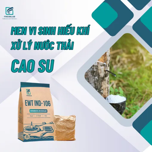 Sản phẩm TANG HIEU SUAT XU LY CUA BUN VI SINH 3 — Công Ty TNHH Thương Mại Kỹ Thuật Freshlab — MST 0316347960