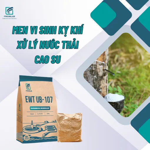 Sản phẩm TANG HIEU SUAT XU LY CUA BUN VI SINH — Công Ty TNHH Thương Mại Kỹ Thuật Freshlab — MST 0316347960