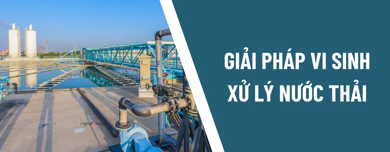 Sản phẩm GIAI PHAP SINH HOC XU LY MOI TRUONG 1 2 — Công Ty TNHH Thương Mại Kỹ Thuật Freshlab — MST 0316347960