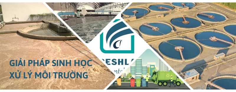 Sản phẩm GIAI PHAP SINH HOC XU LY MOI TRUONG 3 — Công Ty TNHH Thương Mại Kỹ Thuật Freshlab — MST 0316347960