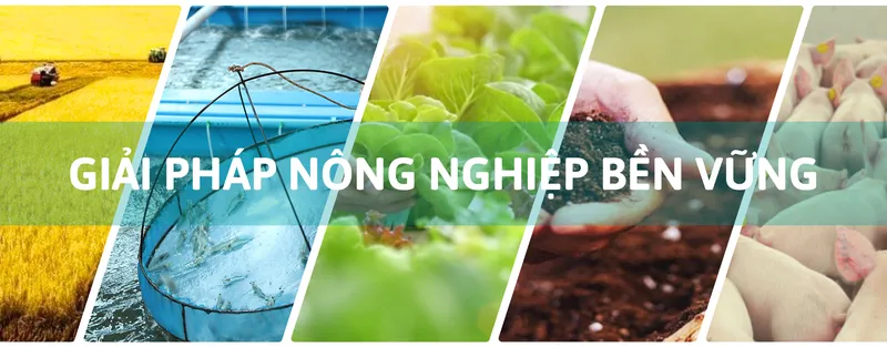 Sản phẩm GIAI PHAP SINH HOC XU LY MOI TRUONG 6 — Công Ty TNHH Thương Mại Kỹ Thuật Freshlab — MST 0316347960
