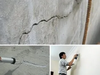 Sản phẩm tuong nha bi nut 4 326x245 — Công Ty TNHH Đầu Tư Xây Dựng Uy Phát — MST 0316348516