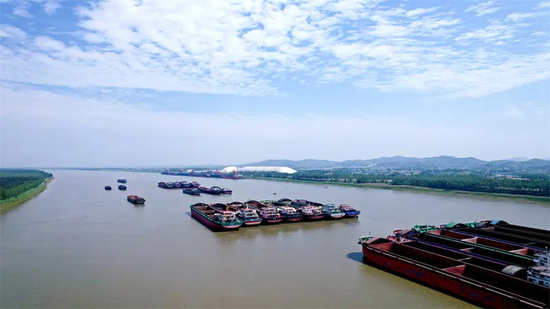 Sản phẩm 176068952673779900 — Balo Túi Xách Tân Phú - Công Ty TNHH May VINA Tân Phú — MST 0316350586