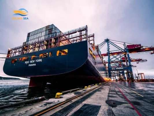 Văn phòng Công Ty TNHH Thương Mại Dịch Vụ Xuất Nhập Khẩu Biển Vàng #1 — MST 0316354492