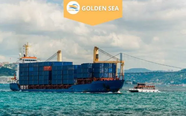 Sản phẩm GOLDEN SEA VAN TAI DUONG BIEN 1 640x400 — Công Ty TNHH Thương Mại Dịch Vụ Xuất Nhập Khẩu Biển Vàng — MST 0316354492