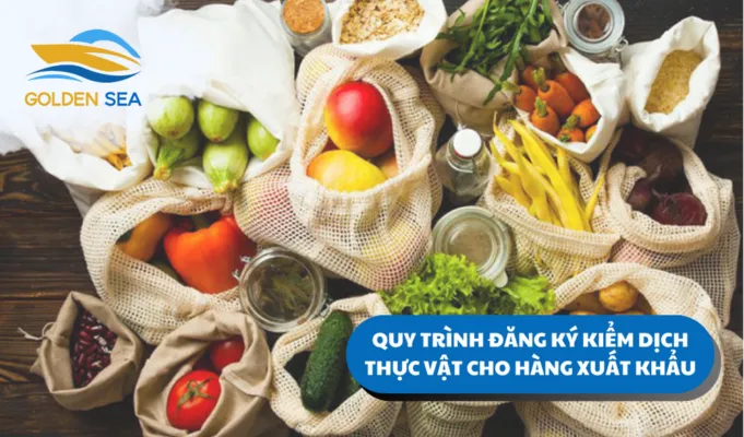 Sản phẩm THU TUC 2 681x400 — Công Ty TNHH Thương Mại Dịch Vụ Xuất Nhập Khẩu Biển Vàng — MST 0316354492