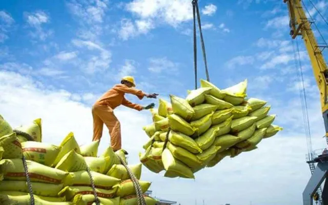 Sản phẩm XUAT KHAU GAO VIET NAM DI QUOC TE 640x400 — Công Ty TNHH Thương Mại Dịch Vụ Xuất Nhập Khẩu Biển Vàng — MST 0316354492