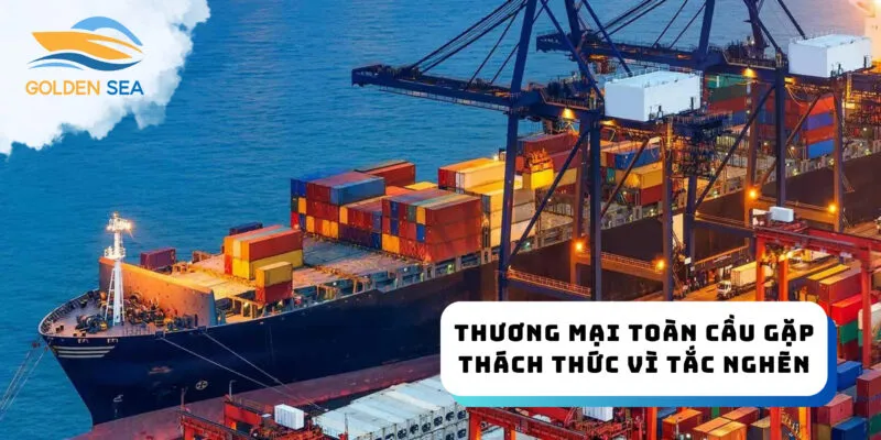 Sản phẩm z4998799567656_f0e98d9d7f78a6646636f8c448ae770f 800x400 — Công Ty TNHH Thương Mại Dịch Vụ Xuất Nhập Khẩu Biển Vàng — MST 0316354492