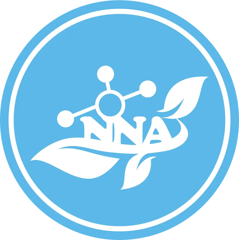 Logo Nano Bạc NNA - Công Ty TNHH Công Nghệ Nano NNA Việt Nam