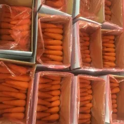 Sản phẩm ca rot tuoi 6335 — Công Ty TNHH Sản Xuất Thương Mại Xuất Nhập Khẩu Linh Khang Foods VN — MST 0316392723