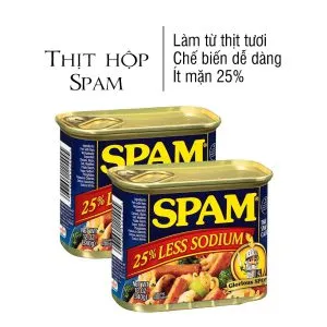 Sản phẩm thit hop spam 25 less sodium my 340g it man_0 300x300 — Công Ty TNHH Thực Phẩm Yen Farm — MST 0316419051