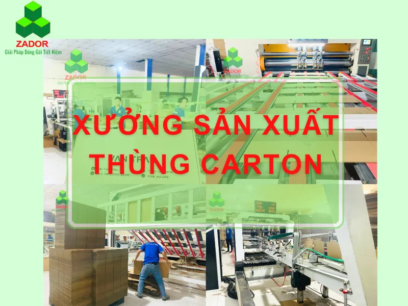 Sản phẩm xuong san xuat thung carton tp hcm — Công Ty TNHH Zador — MST 0316419446