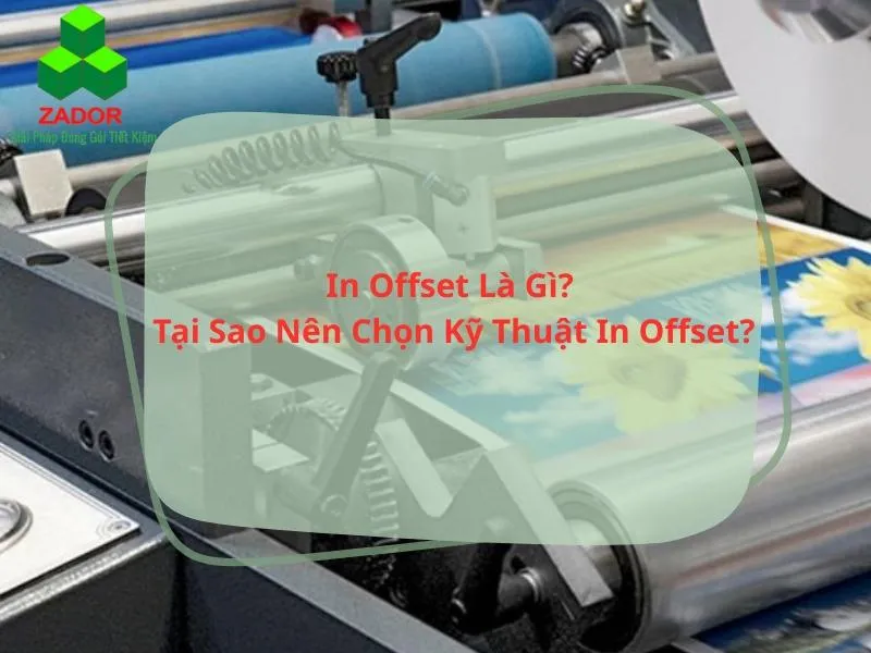 Sản phẩm In Offset — Công Ty TNHH Zador — MST 0316419446