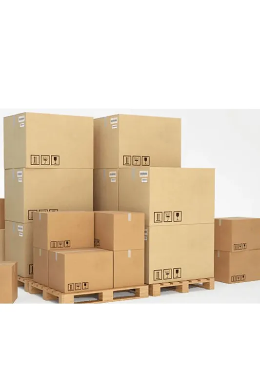 Sản phẩm thung 2 0x0 — Công Ty TNHH Bao Bì BAAN — MST 0316421283