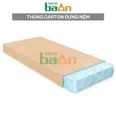 Sản phẩm thung carton dung nem 228x228 — Công Ty TNHH Bao Bì BAAN — MST 0316421283