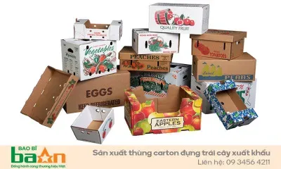 Sản phẩm thung carton dung trai cay 400x240 — Công Ty TNHH Bao Bì BAAN — MST 0316421283