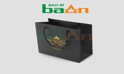 Sản phẩm tui giay kraft 1 400x240 — Công Ty TNHH Bao Bì BAAN — MST 0316421283