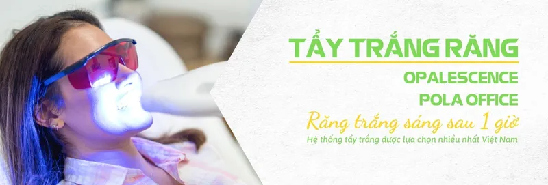 Sản phẩm Tay trang rang tai nha khoa — Nha Khoa An An - Công Ty TNHH MT An An — MST 0316426676