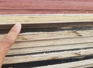 Sản phẩm du an su dung van ep cop pha phu phim ltc 8 9871 — Ván ép Phủ Phim LTC - Công Ty Cổ Phần Thương Mại Vật Tư Xây Dựng Lê Thanh — MST 0316427197