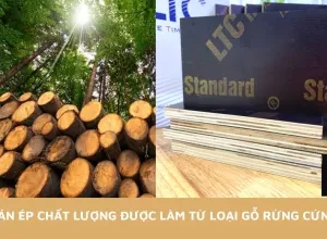 Sản phẩm quy trinh san xuat van ep ltc 4 6651 — Ván ép Phủ Phim LTC - Công Ty Cổ Phần Thương Mại Vật Tư Xây Dựng Lê Thanh — MST 0316427197