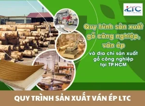 Sản phẩm quy trinh san xuat van ep ltc 5387 — Ván ép Phủ Phim LTC - Công Ty Cổ Phần Thương Mại Vật Tư Xây Dựng Lê Thanh — MST 0316427197