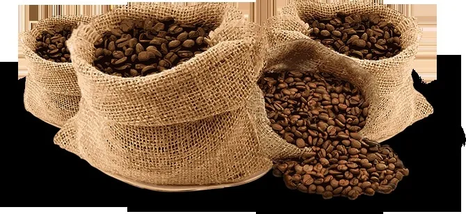Sản phẩm ca phe rang xay 01 1kg 135 1 — Công Ty TNHH Thương Mại Dịch Vụ Đầu Tư Đức Nguyên — MST 0316434370