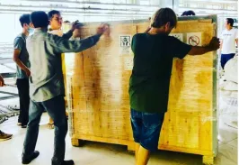 Sản phẩm 119000060_702371540623821_2326871269921589484_njpg 20200916140007 — Áo Thun Nguyên Phi - Công Ty TNHH Sản Xuất Thương Mại Dịch Vụ Nguyên Phi — MST 0316436353
