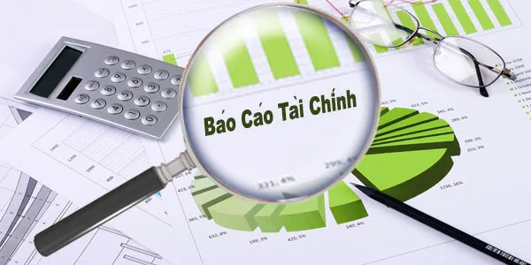 Sản phẩm bao cao tai chinh 1 — Công Ty TNHH Tư Vấn KT Việt Nam — MST 0316453729
