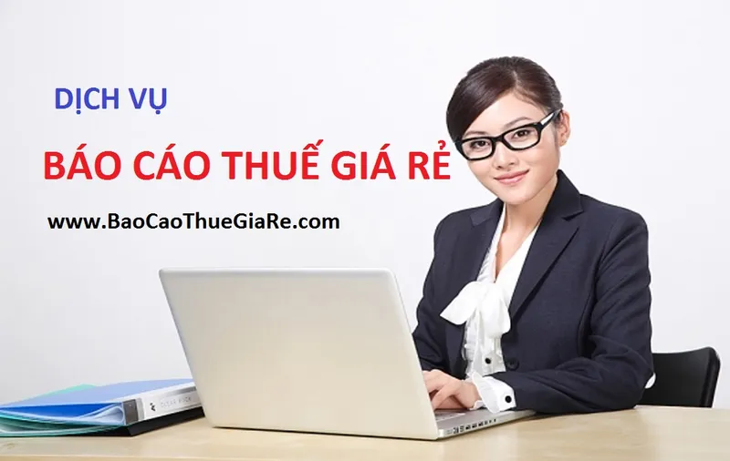 Sản phẩm ke toan 02 — Công Ty TNHH Tư Vấn KT Việt Nam — MST 0316453729