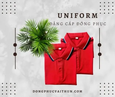 Sản phẩm PLCOMBO8_13725202525313_s_ — Công Ty TNHH Sản Xuất Thương Mại Dịch Vụ Lasfa — MST 0316454514