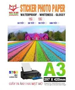 Sản phẩm GIAY BOC DAN A3 1 247x296 — Công Ty TNHH Máy In MH — MST 0316461399