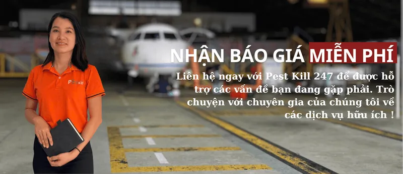Sản phẩm Lien he ngay 1 — Diệt Côn Trùng Pest Kill 247 - Công Ty TNHH Thương Mại Dịch Vụ Kỹ Thuật Hoàng
Trang Việt Nam — MST 0316463011