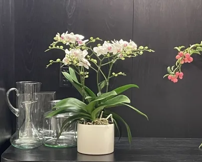 Sản phẩm img0490 7714 — Công Ty Cổ Phần BOUTIQUE.ART Group — MST 0316463653
