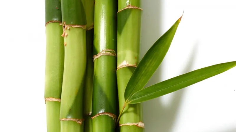 Sản phẩm 1632552590_vai bamboo — Công Ty Cổ Phần Vải Sợi Quốc Tế Thịnh Phú — MST 0316475881