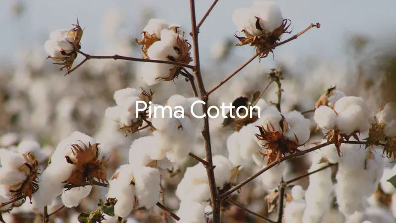 Sản phẩm 1632553919_vai cotton — Công Ty Cổ Phần Vải Sợi Quốc Tế Thịnh Phú — MST 0316475881