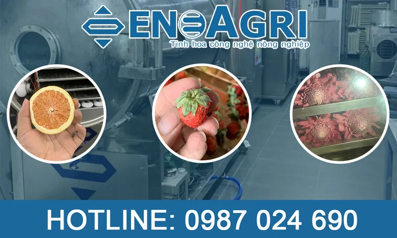 Sản phẩm 2 3 — Máy Sấy Enoagri - Công Ty TNHH Công Nghệ Enoagri — MST 0316479149