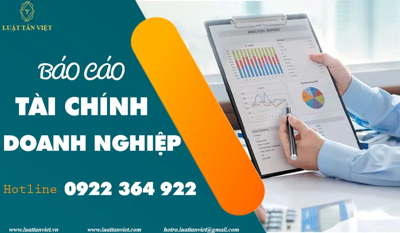 Sản phẩm báo cáo tài chính — Luật Tân Việt - Công Ty TNHH Luật Tân Việt — MST 0316498712